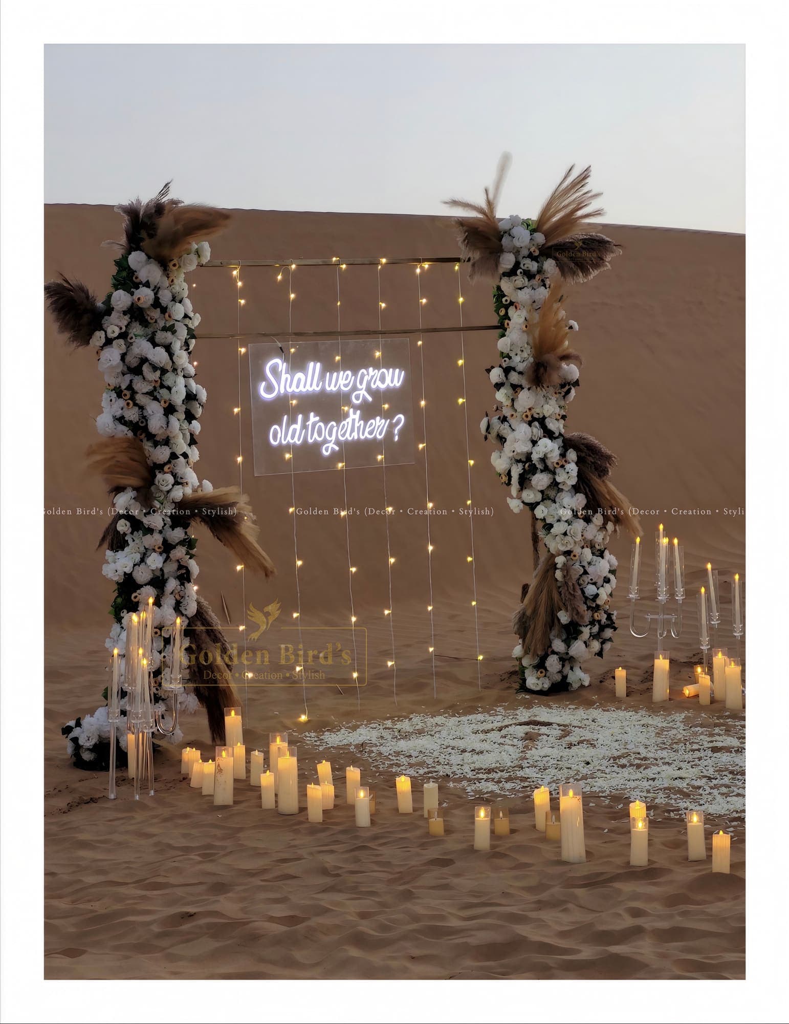 Proposals & Engagements
